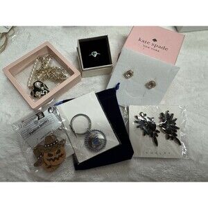 Mystery Jewelry Bags Incl Kate Spade, Betsey Johnson, Melinda Maria 6+ Pieces